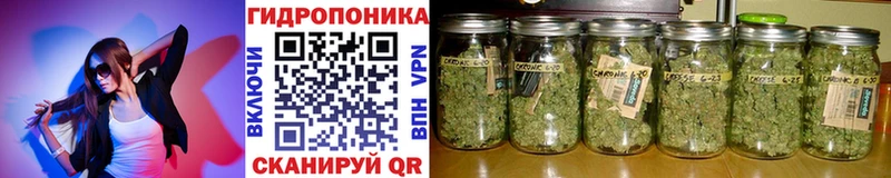 Где можно купить наркотики Салават Галлюциногенные грибы  Alpha PVP  Кокаин  ГАШ  Меф  Марихуана 