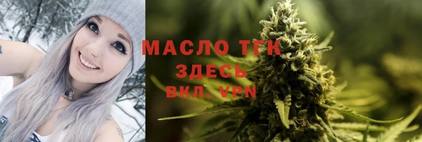 сатива Аркадак