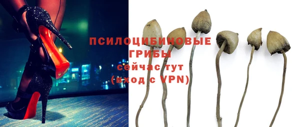 apvp Армянск