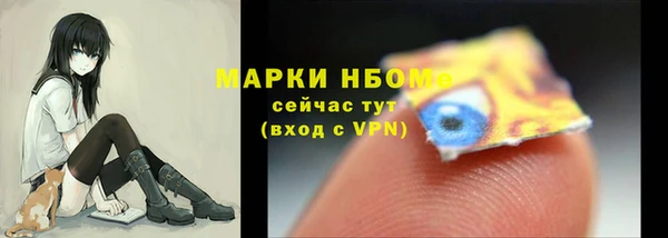 сатива Аркадак