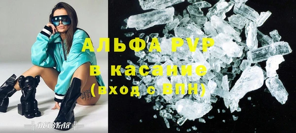 сатива Аркадак