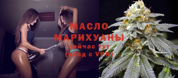 сатива Аркадак