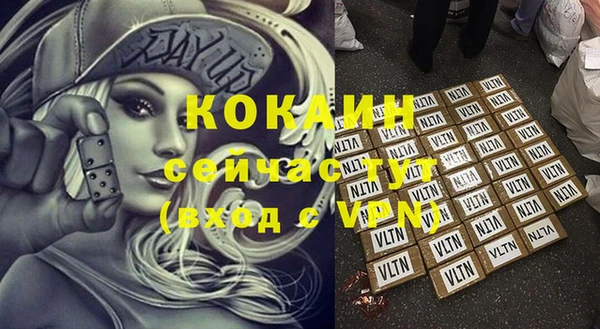 сатива Аркадак