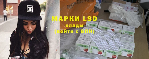 сатива Аркадак