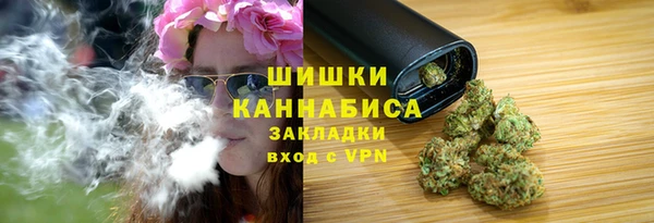 сатива Аркадак