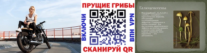 Галлюциногенные грибы мухоморы  Салават 